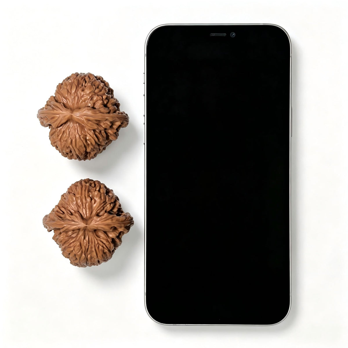 The Spherical "Concave Base" Nanjiangstone Masterpiece | 43.0mm x 42.0mm | NJS-1208C - ThePatinaProject