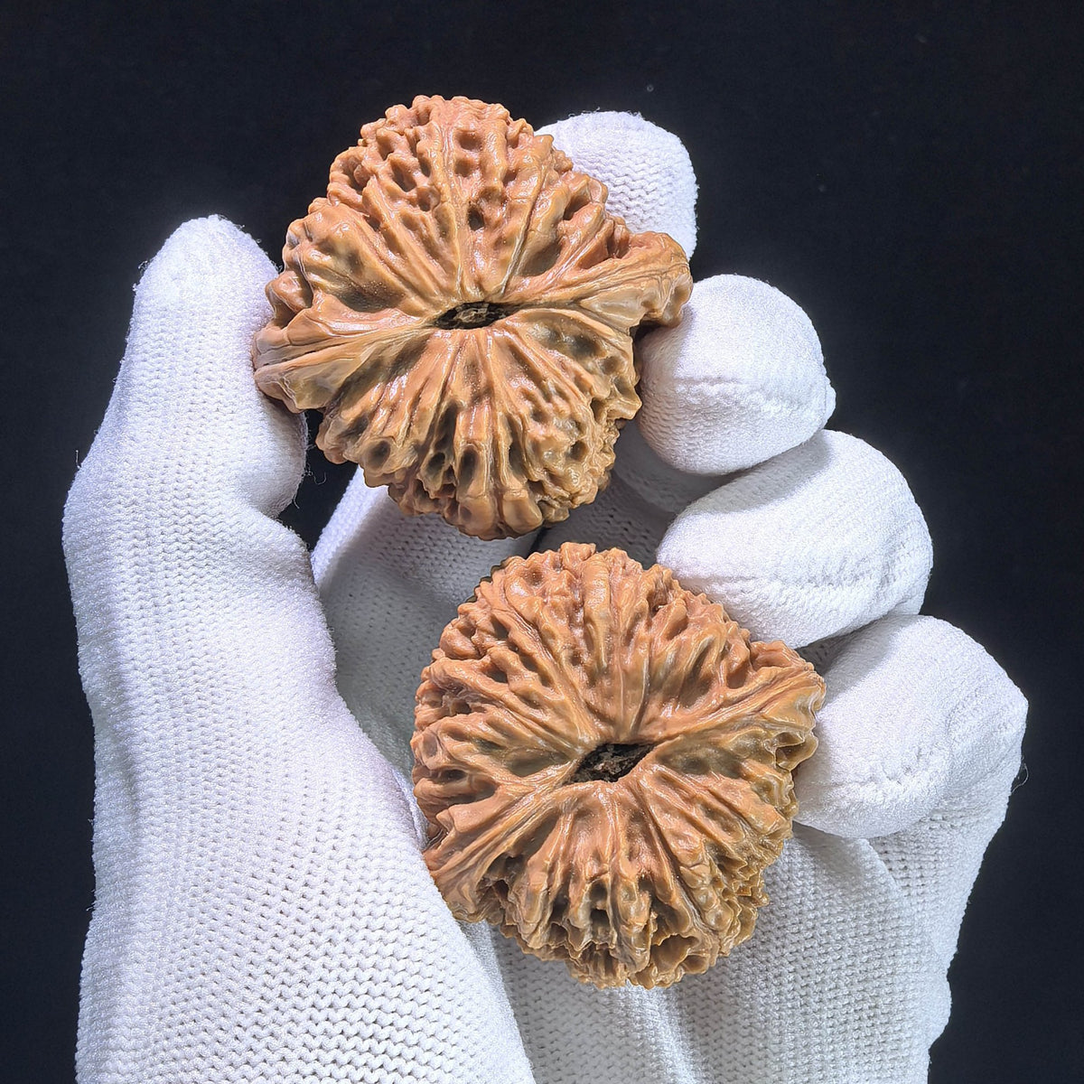 The "Spherical Nanjiangstone" Perfectly Round Collector Pair | 40.0mm x 40.0mm | NJS-1013 - ThePatinaProject