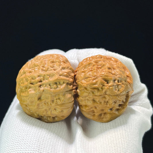 The "Squat Pumpkin" (Nan Gua Dun) Colossal Deep-Bellied Giant Pair | 45.0mm x 46.0mm | NGD-903 - ThePatinaProject