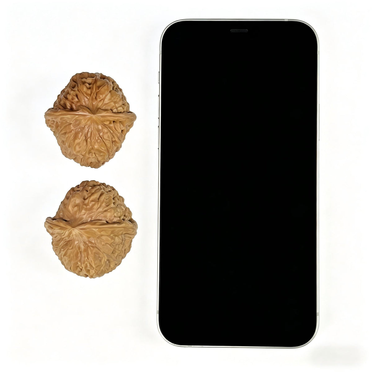 The "Squat Pumpkin" (Nan Gua Dun) Colossal Deep-Bellied Giant Pair | 45.0mm x 46.0mm | NGD-903 - ThePatinaProject