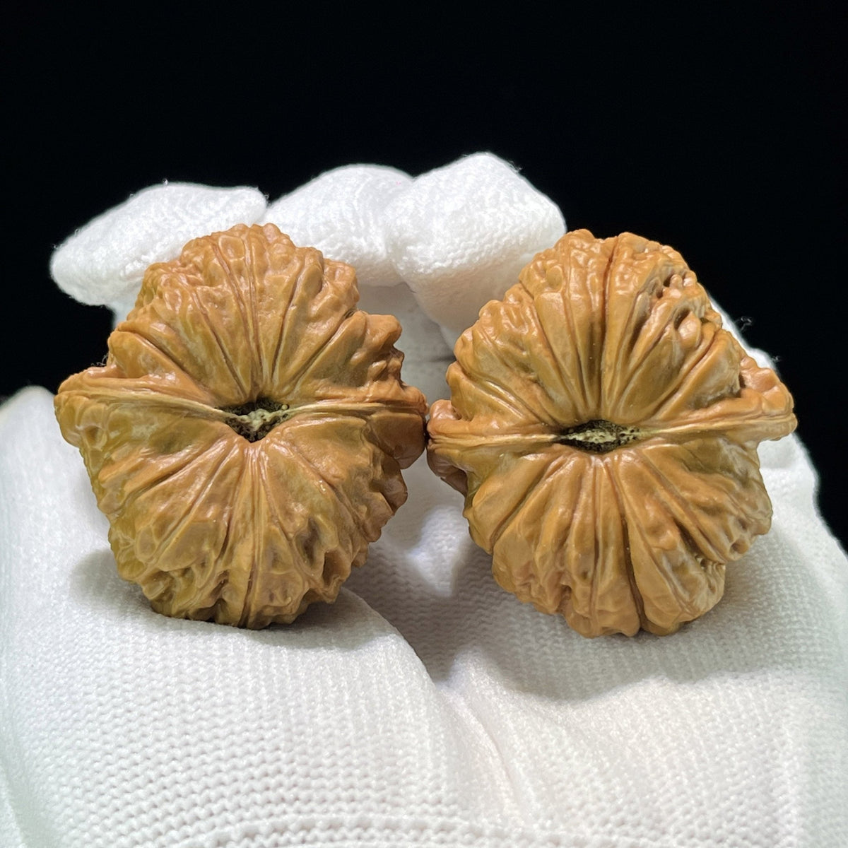 The "Squat Pumpkin" (Nan Gua Dun) Deep-Bellied EDC Pair | 37.0mm x 40.0mm | NGD-801 - ThePatinaProject