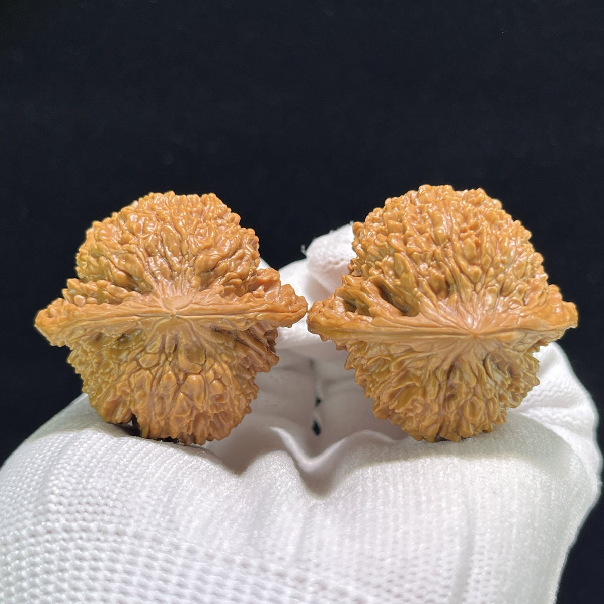 The "Starry Sky" (Man Tian Xing) Ergonomic Robust Pair | 39.0mm x 36.0mm | MTX-902 - ThePatinaProject