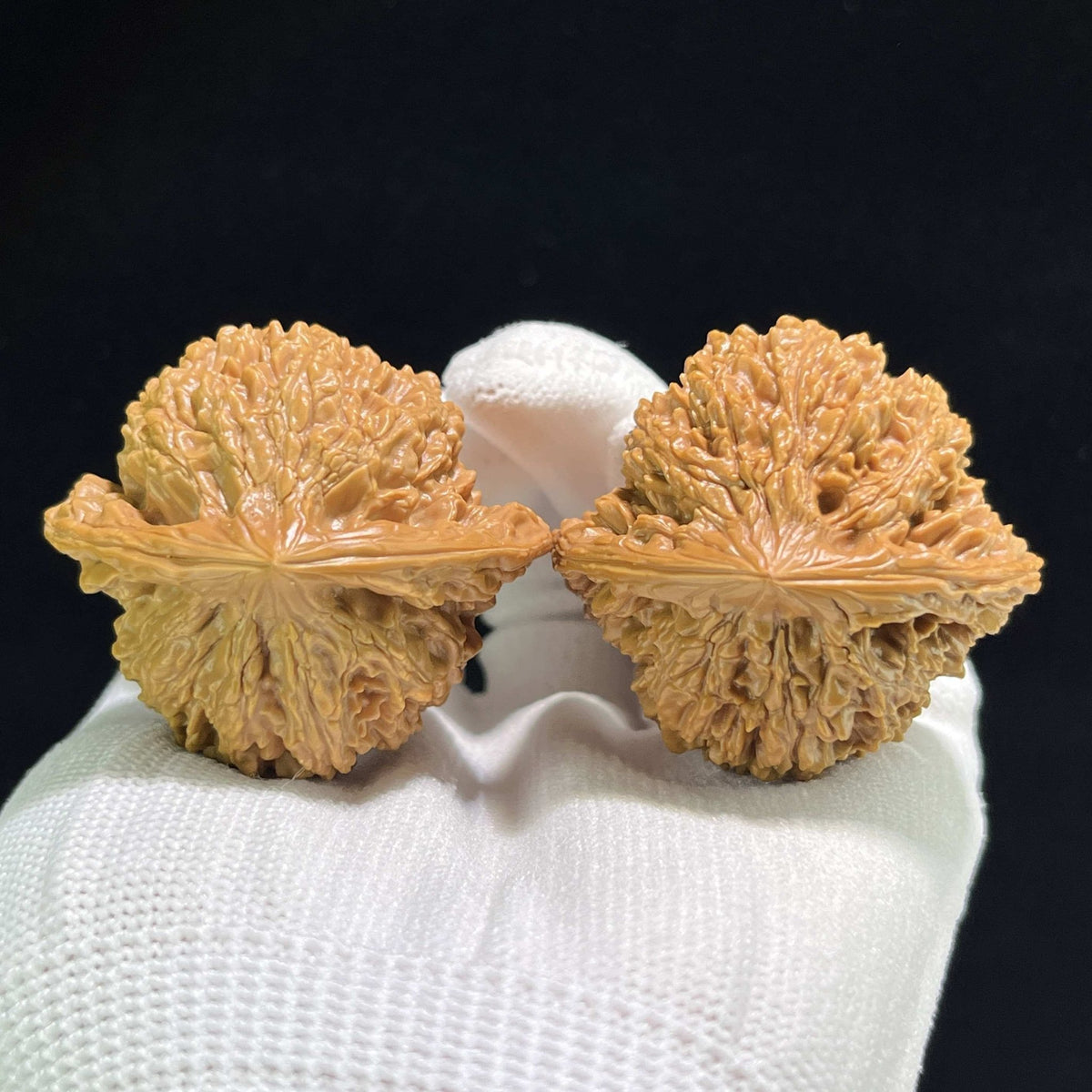 The "Starry Sky" (Man Tian Xing) Giant Aggressive Pair | 43.0mm x 40.0mm | MTX-901 - ThePatinaProject