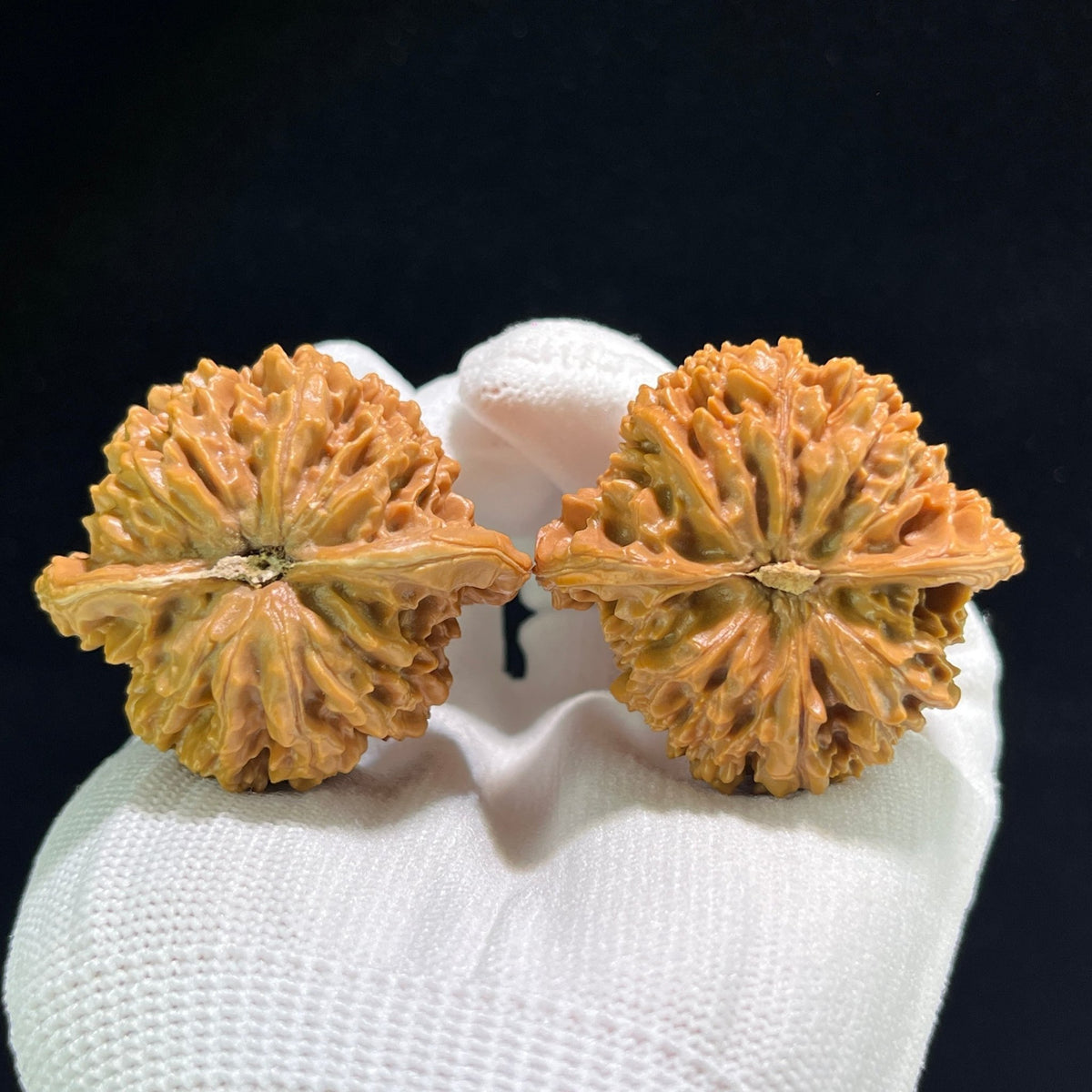 The "Starry Sky" (Man Tian Xing) Giant Aggressive Pair | 43.0mm x 40.0mm | MTX-901 - ThePatinaProject