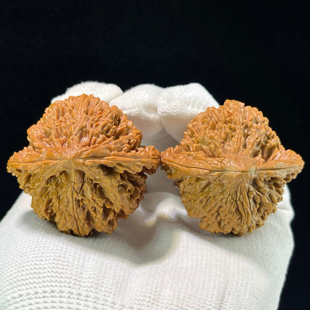 The "Starry Sky" (Man Tian Xing) Premium Wide-Belly Lion Head Pair | 43.0mm x 41.0mm | MTX-1001 - ThePatinaProject