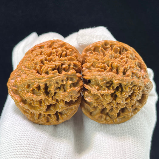 The "Starry Sky" (Man Tian Xing) Premium Wide-Belly Lion Head Pair | 43.0mm x 41.0mm | MTX-1001 - ThePatinaProject
