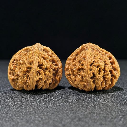 The "Starry Sky" (Man Tian Xing) Premium Wide-Belly Lion Head Pair | 43.0mm x 41.0mm | MTX-1001 - ThePatinaProject