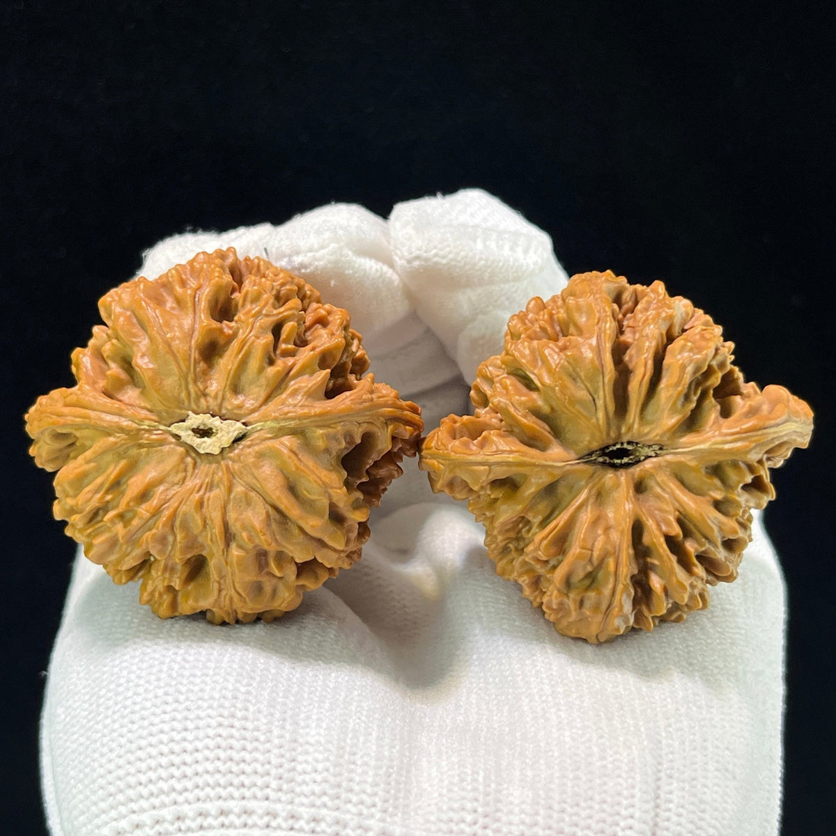 The "Starry Sky" (Man Tian Xing) Premium Wide-Belly Lion Head Pair | 43.0mm x 41.0mm | MTX-1001 - ThePatinaProject
