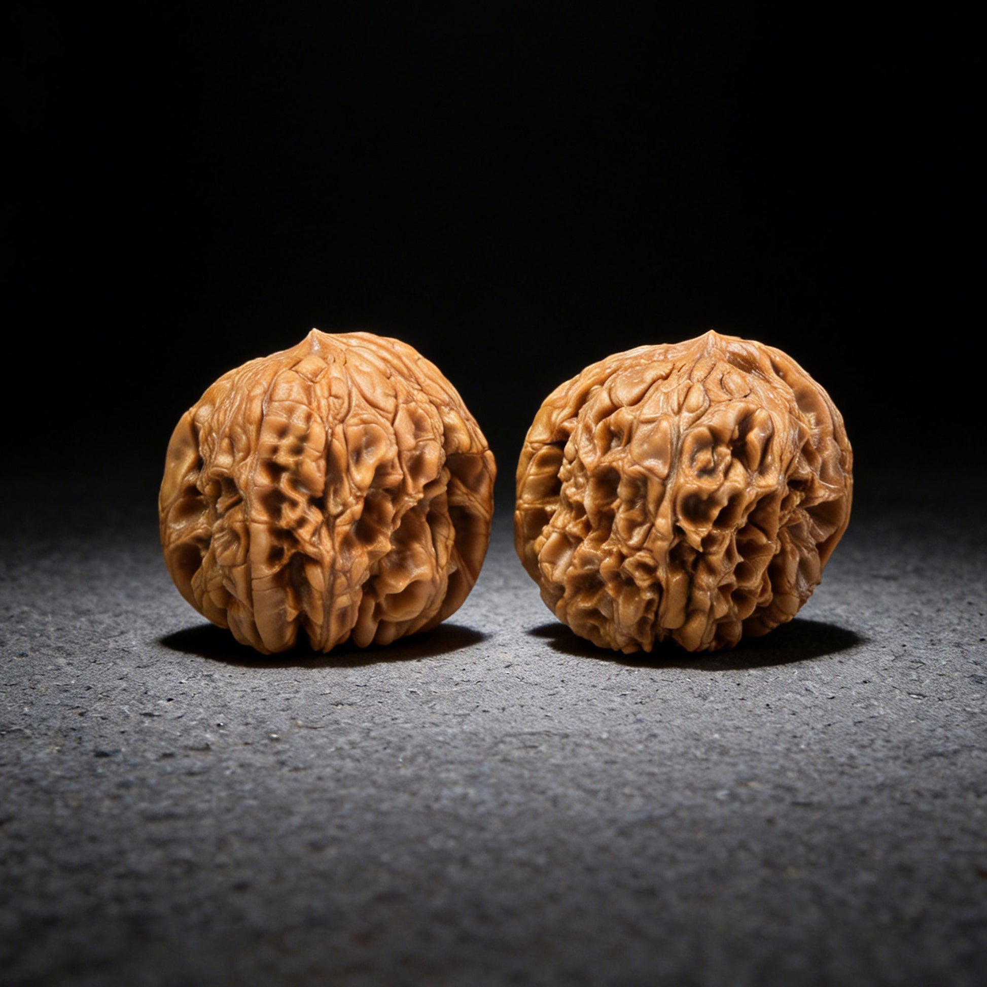 The "Stout Cushion" (Mendun) Pair | 44.0mm | MD-102 - ThePatinaProject