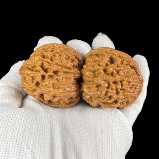 The "Stout Cushion" (Mendun) Pair | 45.0mm | MD-101 - ThePatinaProject