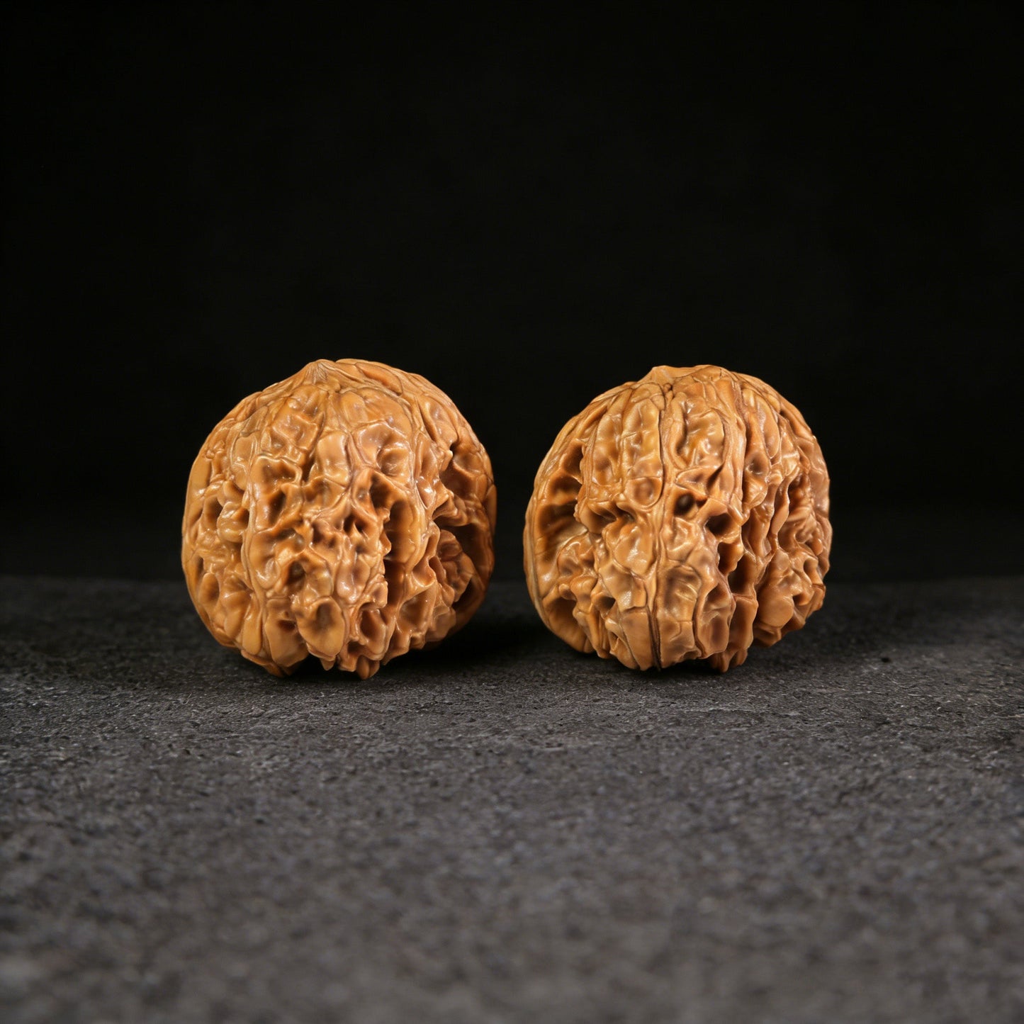 The "Stout Cushion" (Mendun) Pair | 45.0mm | MD-101 - ThePatinaProject