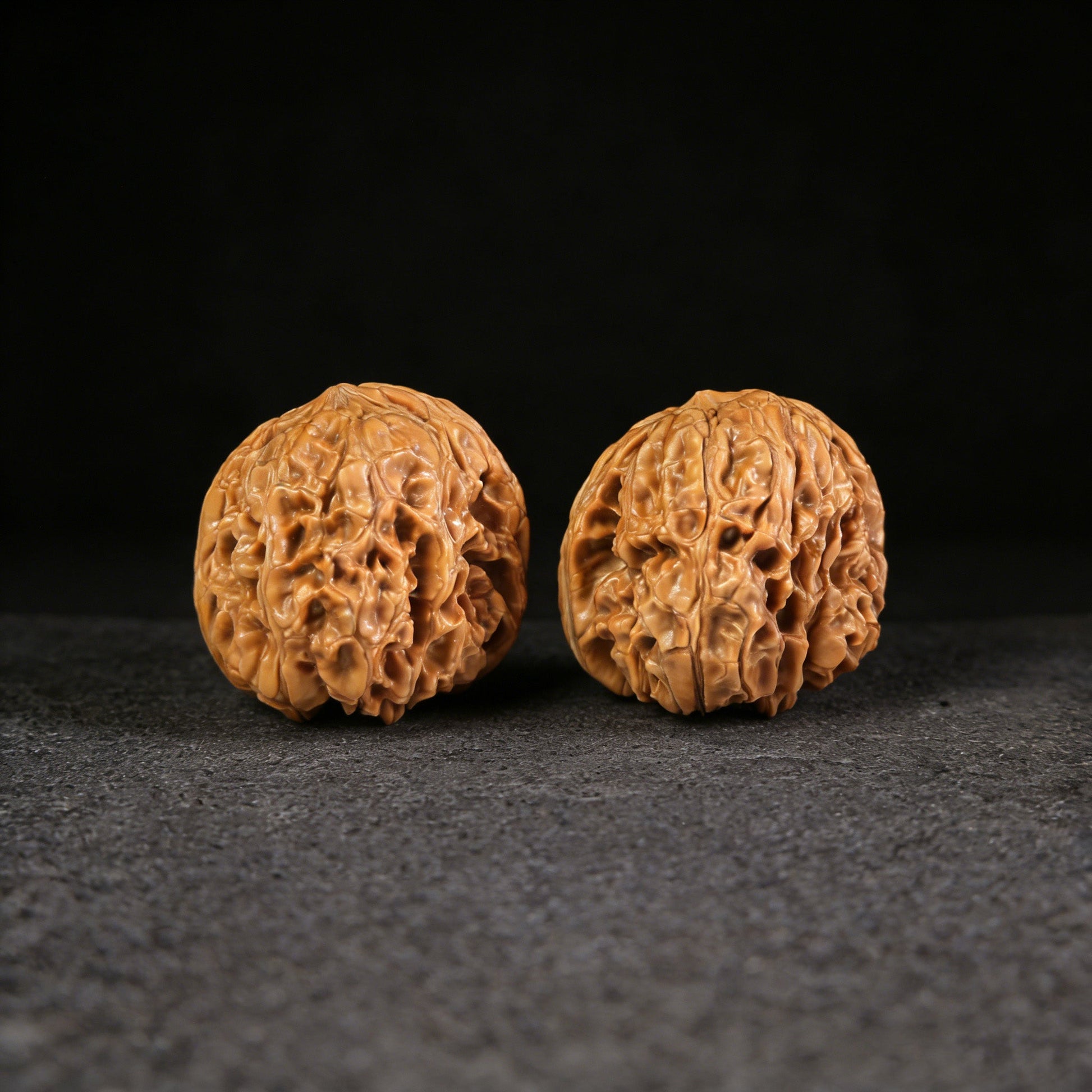 The "Stout Cushion" (Mendun) Pair | 45.0mm | MD-101 - ThePatinaProject