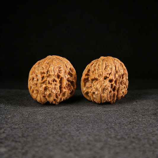 The "Stout Cushion" (Mendun) Pair | 45.0mm | MD-101 - ThePatinaProject