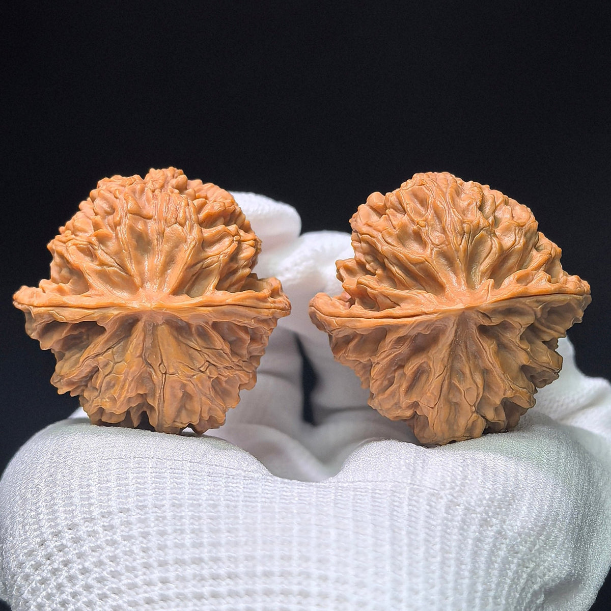The Symmetrical "Apple Orchard" Pingguoyuan Lion Head Pocket Masterpiece | 39.0mm x 38.0mm | PGY-1401 - ThePatinaProject