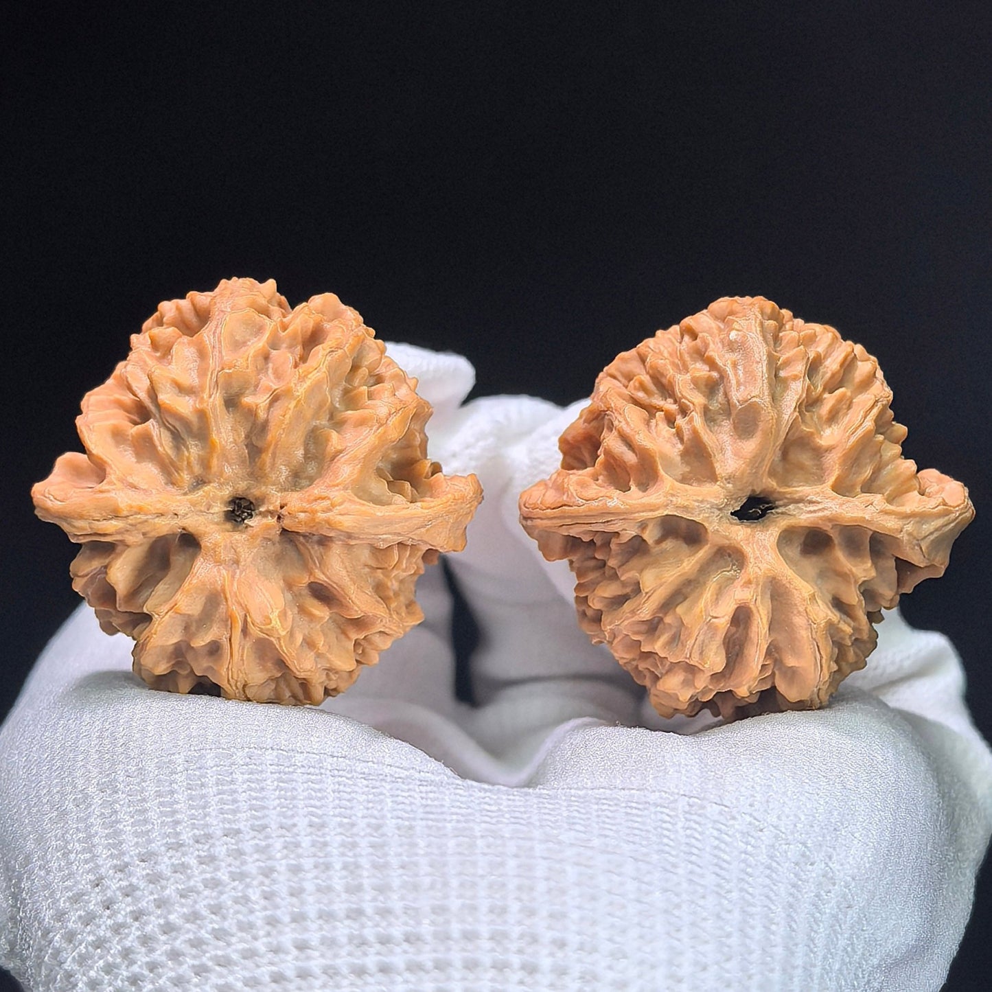 The Symmetrical "Apple Orchard" Pingguoyuan Lion Head Pocket Masterpiece | 39.0mm x 38.0mm | PGY-1401 - ThePatinaProject