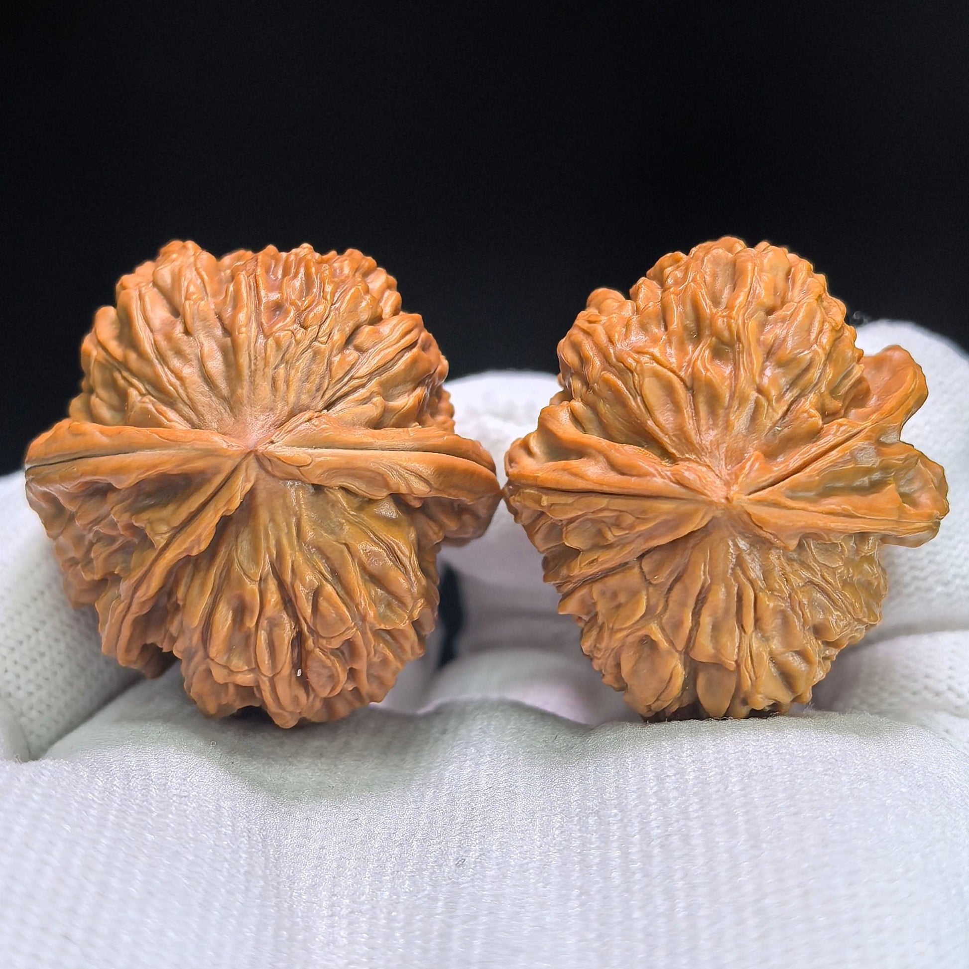 The Symmetrical "Fair-Wind Ear" Shunfengear White Lion Masterpiece | 34.0mm x 35.0mm | BSZSFE-1401E - ThePatinaProject