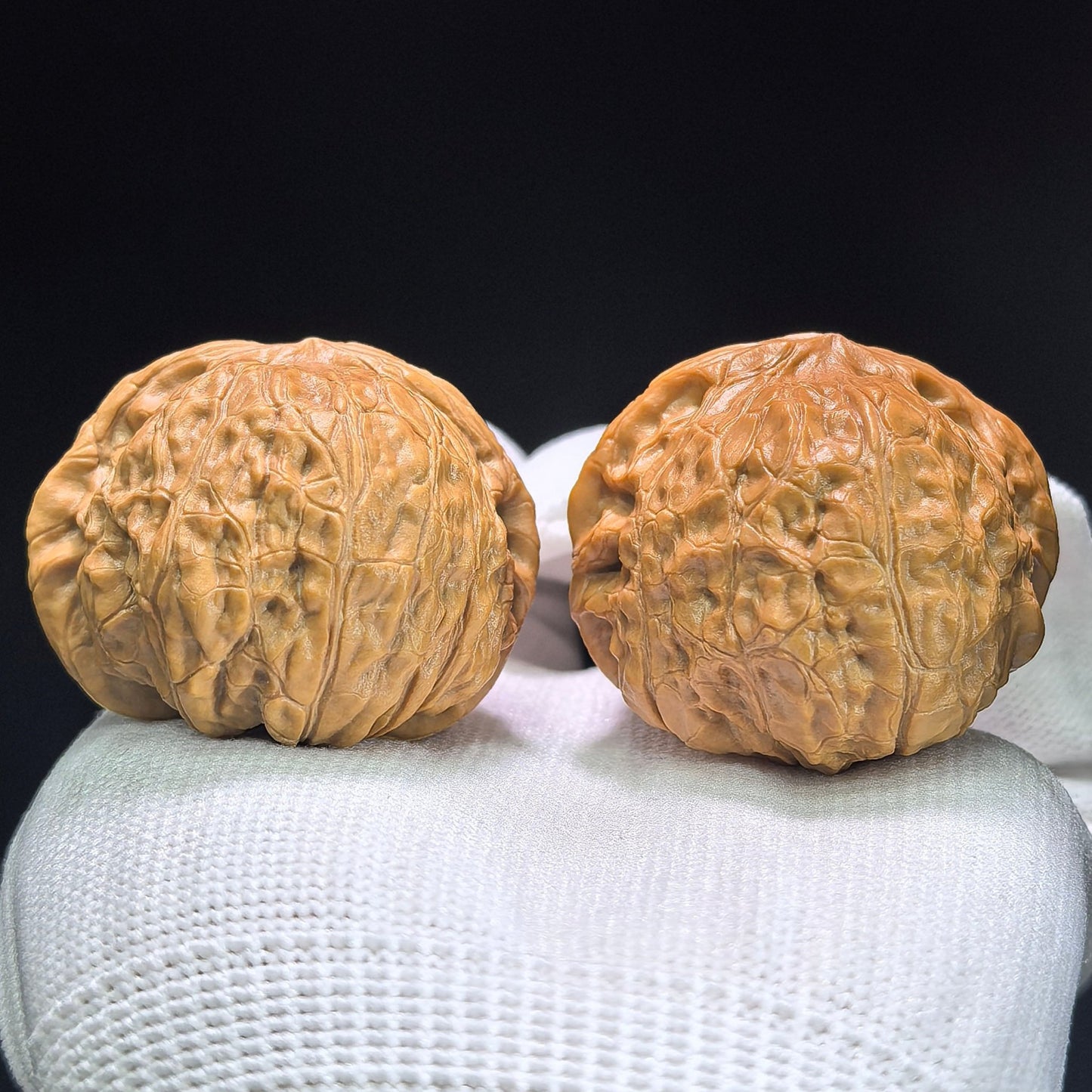 The Symmetrical "Pumpkin Pier" Nanguadun Lion Head Masterpiece | 40.0mm x 42.0mm | NGD-1401 - ThePatinaProject