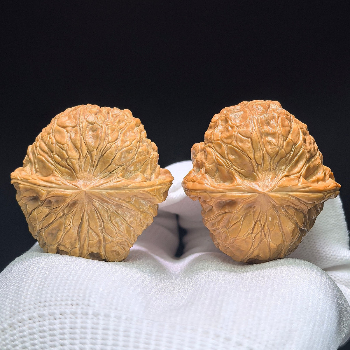 The Symmetrical "Pumpkin Pier" Nanguadun Lion Head Masterpiece | 40.0mm x 42.0mm | NGD-1401 - ThePatinaProject