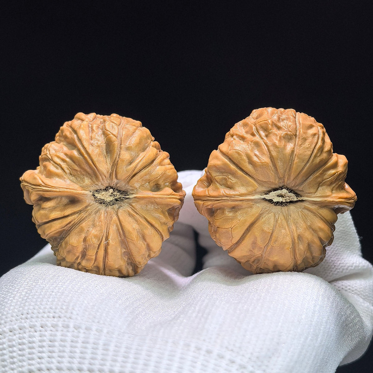The Symmetrical "Pumpkin Pier" Nanguadun Lion Head Masterpiece | 40.0mm x 42.0mm | NGD-1401 - ThePatinaProject