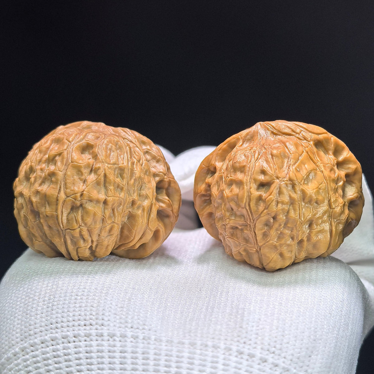 The Symmetrical "Pumpkin Pier" Nanguadun Lion Head Masterpiece | 40.0mm x 42.0mm | NGD-1401 - ThePatinaProject