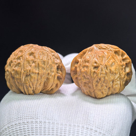 The Symmetrical "Pumpkin Pier" Nanguadun Lion Head Masterpiece | 40.0mm x 42.0mm | NGD-1401 - ThePatinaProject