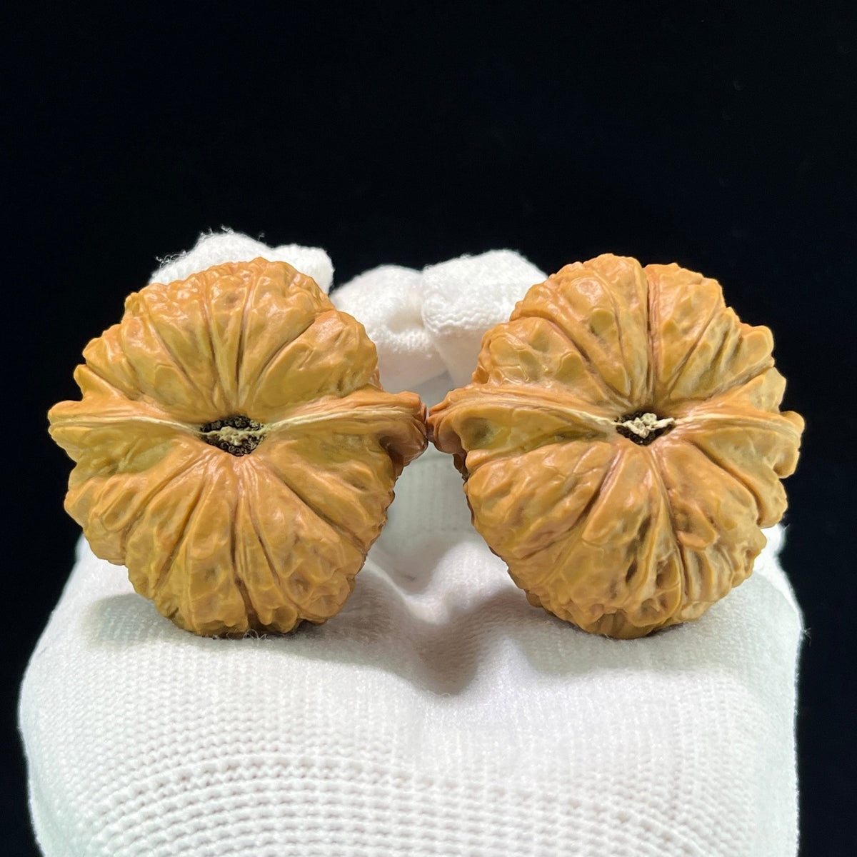 The Symmetrical "Pumpkin Pier" Nanguadun Lion Head Masterpiece | 41.0mm x 42.0mm | NGD-1001 - ThePatinaProject