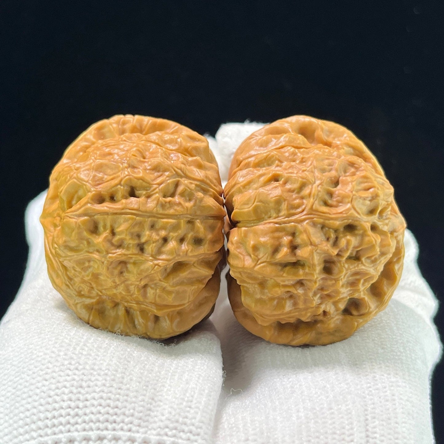 The Symmetrical "Pumpkin Pier" Nanguadun Lion Head Masterpiece | 41.0mm x 42.0mm | NGD-1001 - ThePatinaProject