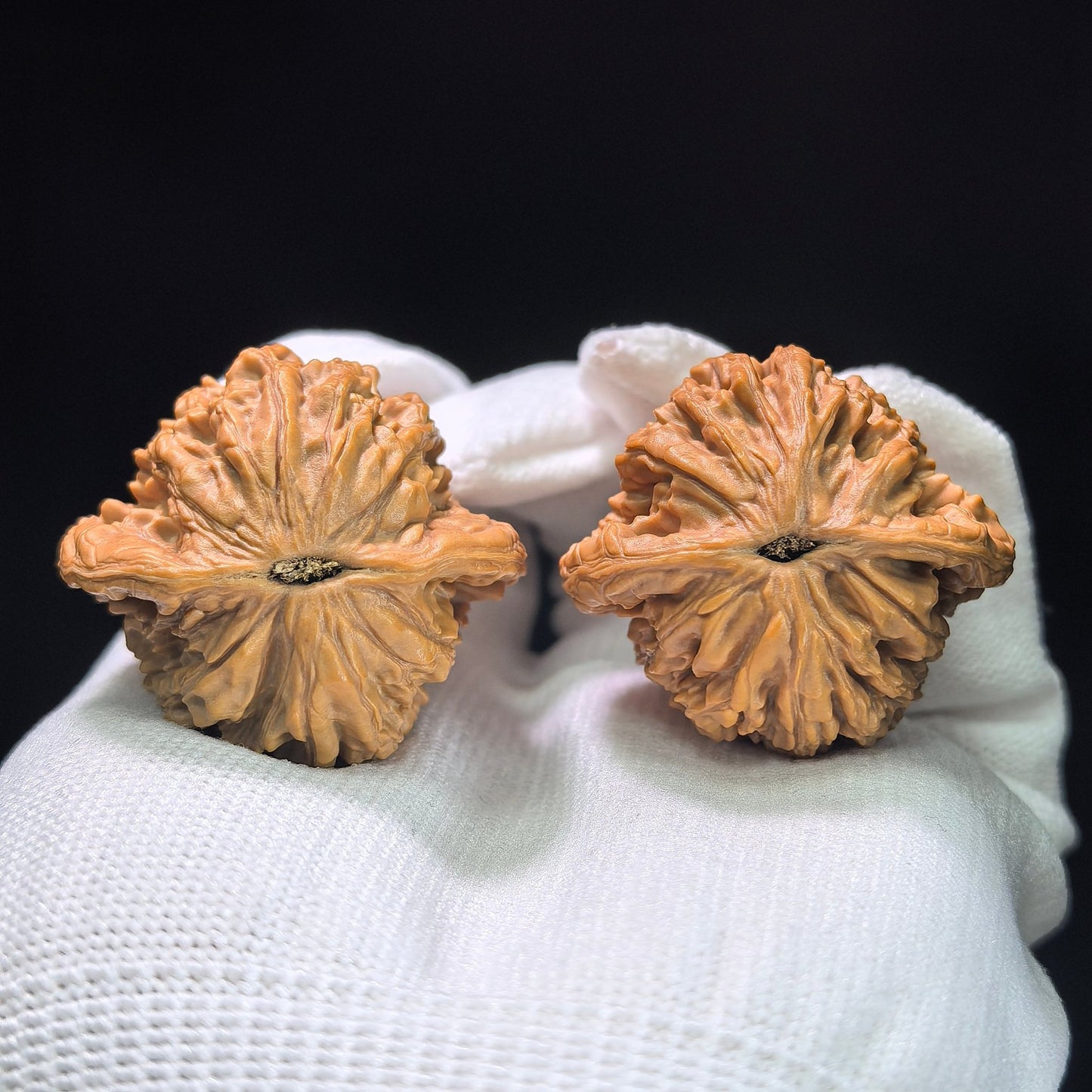 The Symmetrical "Wheat Ear" Tiger Head Pocket Masterpiece | 38.0mm x 36.0mm | MSHT-1407 - ThePatinaProject