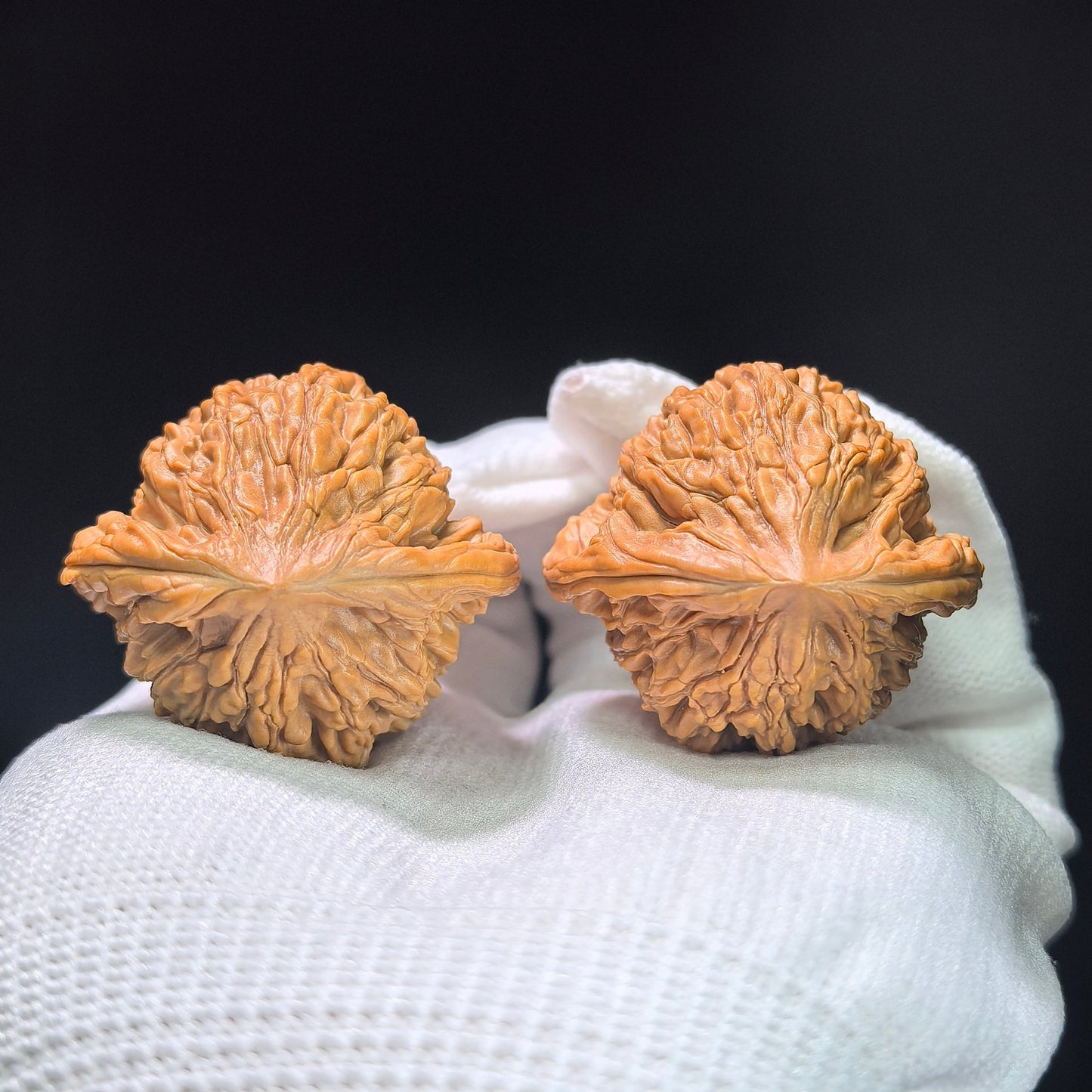 The Symmetrical "Wheat Ear" Tiger Head Pocket Masterpiece | 38.0mm x 36.0mm | MSHT-1407 - ThePatinaProject