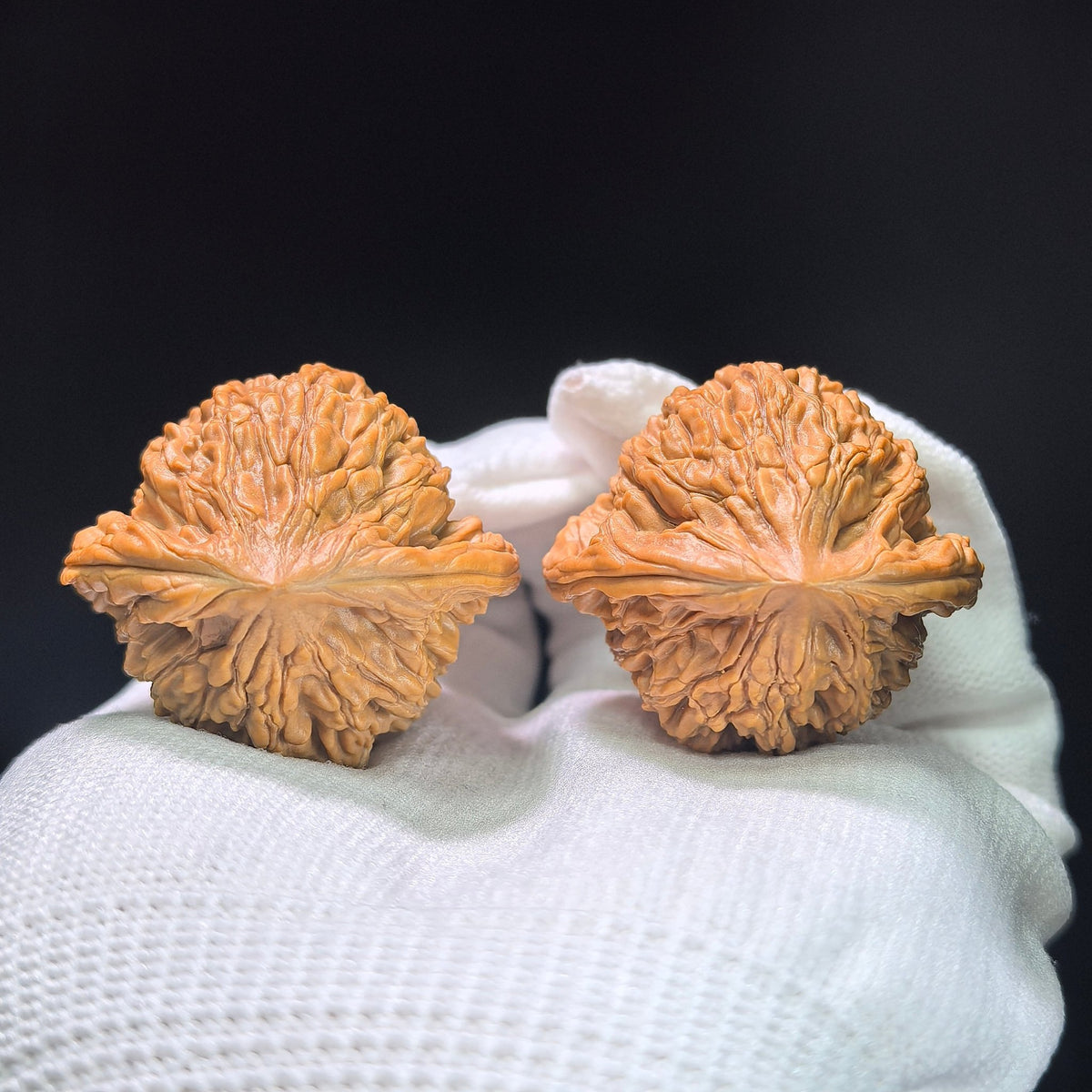 The Symmetrical "Wheat Ear" Tiger Head Pocket Masterpiece | 38.0mm x 36.0mm | MSHT-1407 - ThePatinaProject