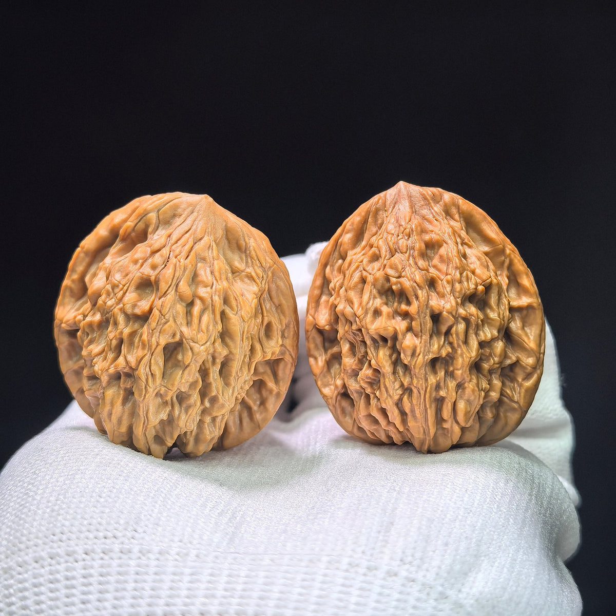 The Symmetrical "Wheat Ear" Tiger Head Pocket Masterpiece | 38.0mm x 36.0mm | MSHT-1407 - ThePatinaProject