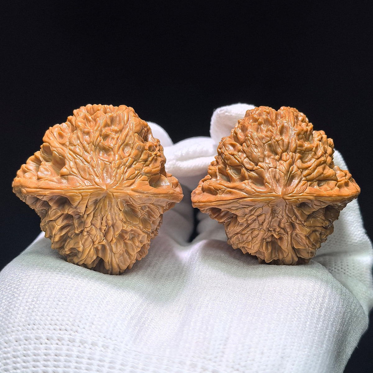 The Symmetrical "Wild Bull" Yeniu Lion Head Masterpiece | 41.0mm x 41.0mm | YN-1401 - ThePatinaProject
