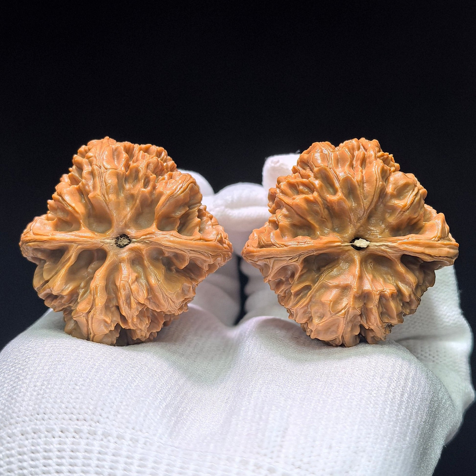 The Symmetrical "Wild Bull" Yeniu Lion Head Masterpiece | 41.0mm x 41.0mm | YN-1401 - ThePatinaProject