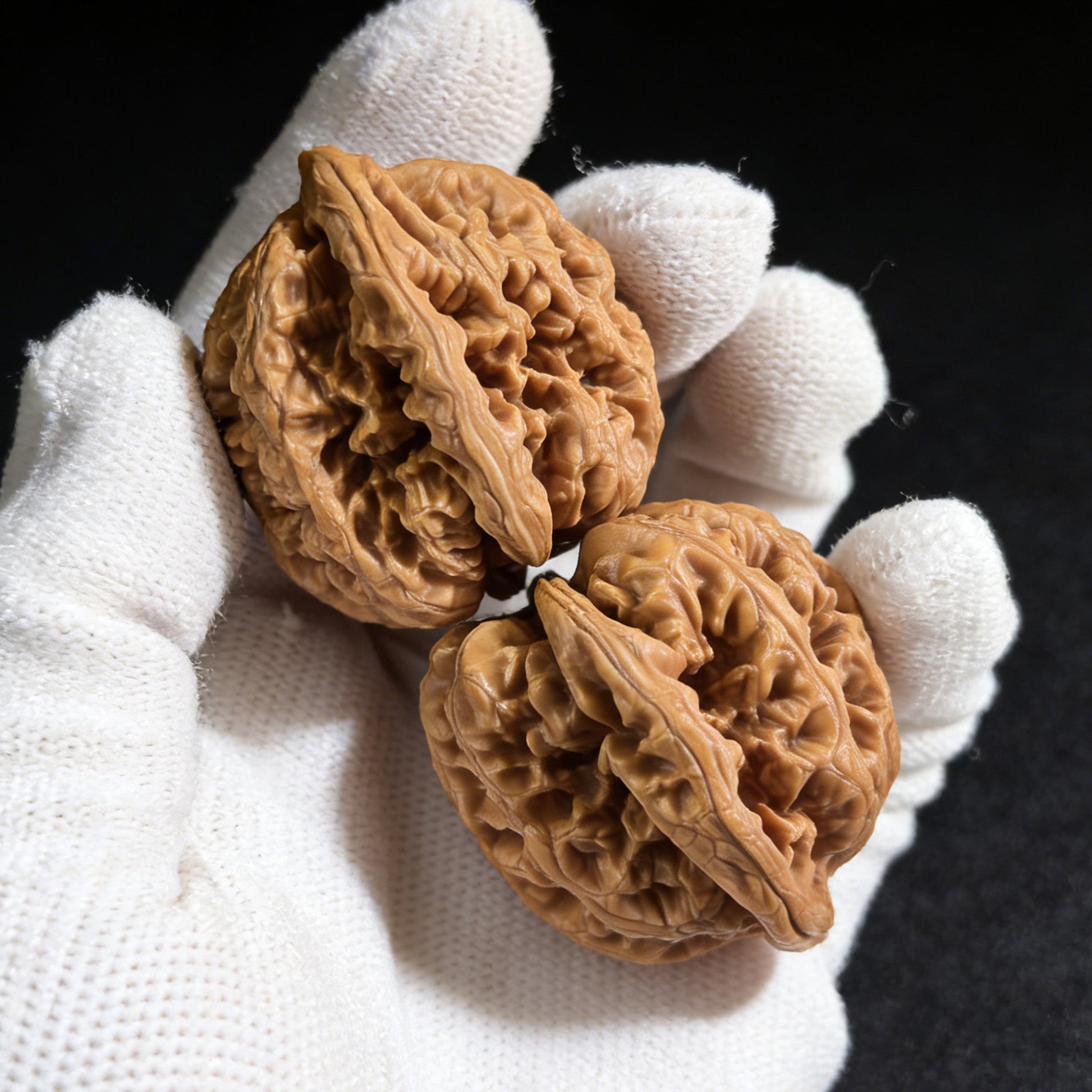 The "Tendon Vein" (Cujin) Pair | 38.0mm x 36.0mm | CJ-02 - ThePatinaProject