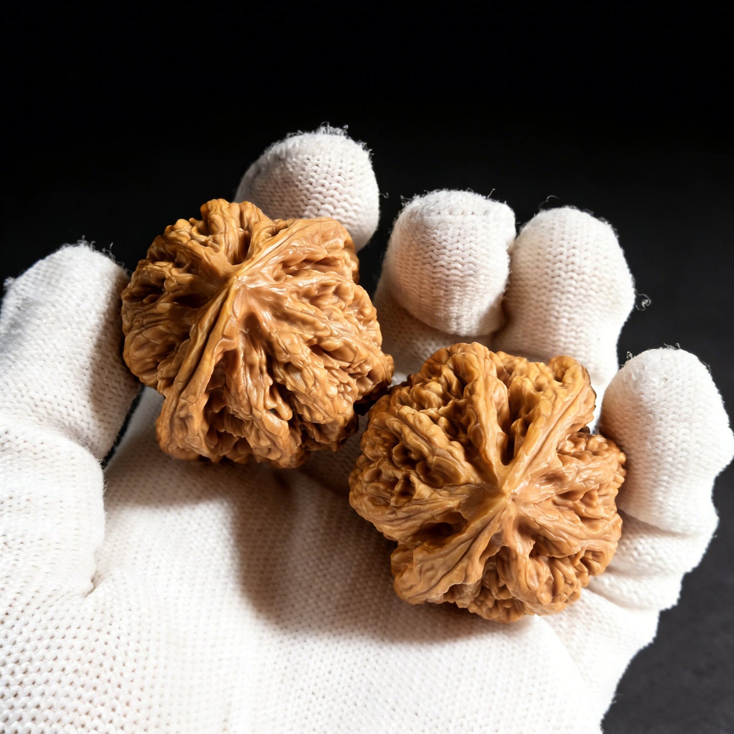 The "Tendon Vein" (Cujin) Pair | 38.0mm x 36.0mm | CJ-02 - ThePatinaProject
