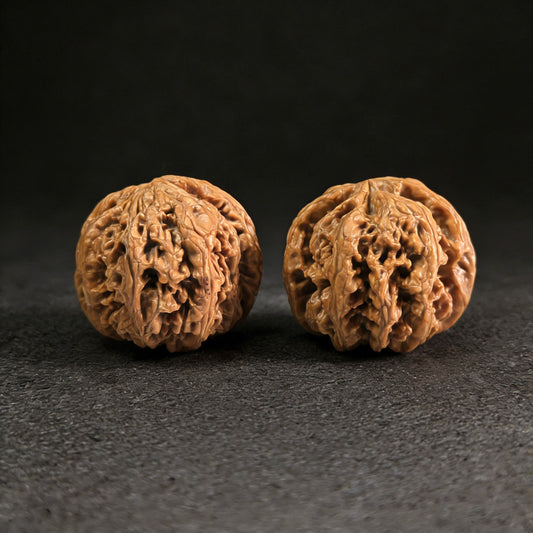 The "Tendon Vein" (Cujin) Pair | 42.0mm | CJ-01 - ThePatinaProject