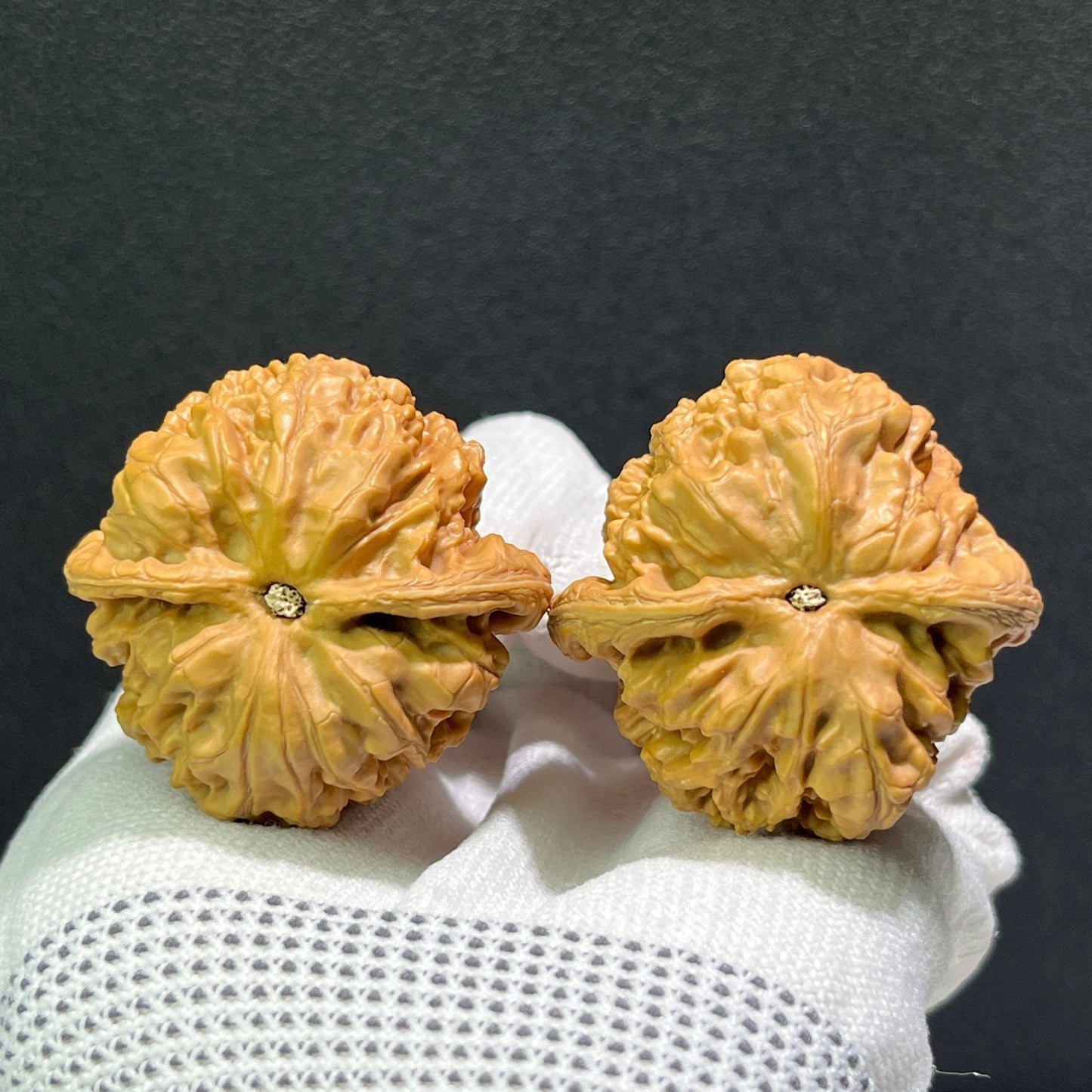 The "Thick Ridge" (Cu Jin) Pair | 40.0mm x 40.0mm | CJ-601 - ThePatinaProject