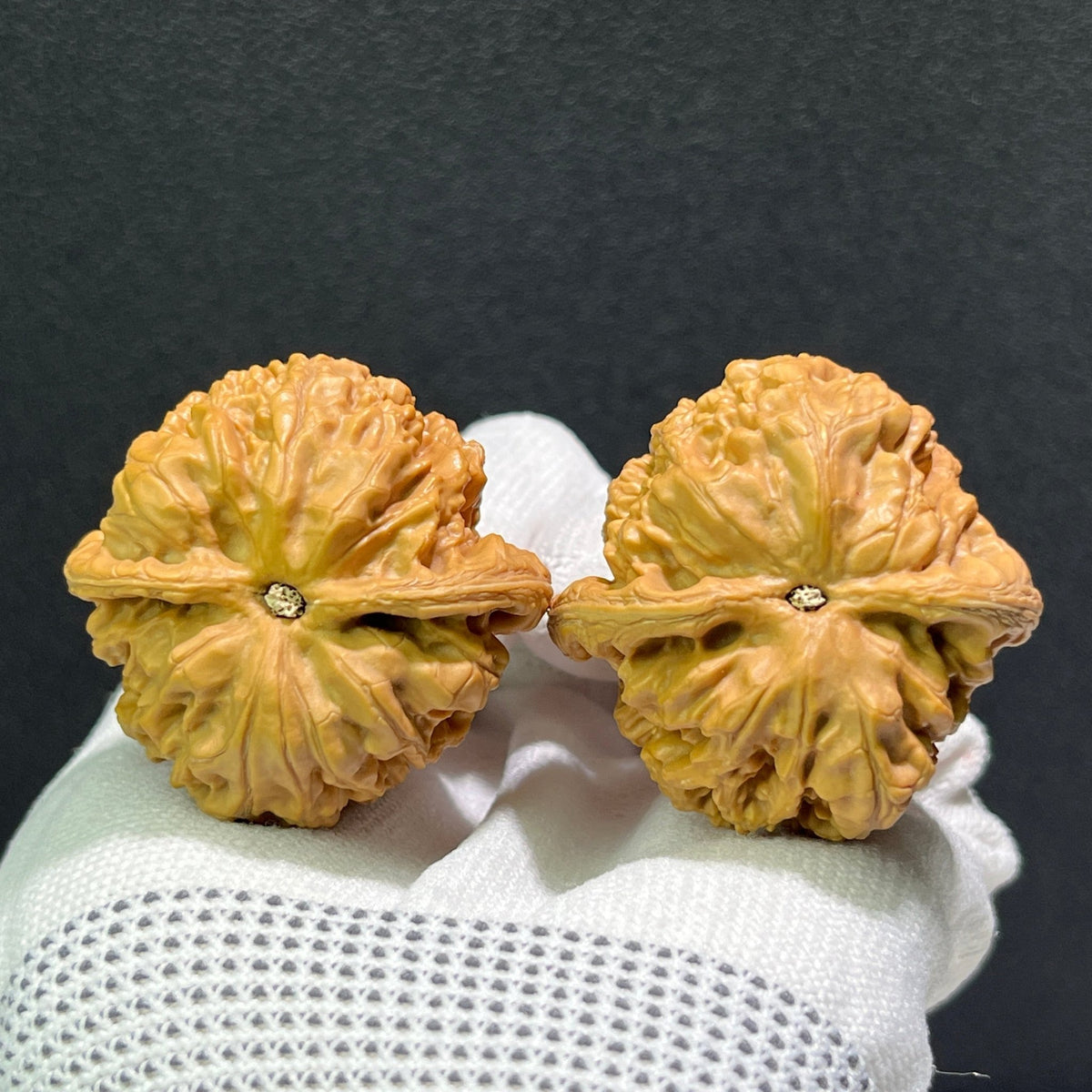 The "Thick Ridge" (Cu Jin) Pair | 40.0mm x 40.0mm | CJ-601 - ThePatinaProject