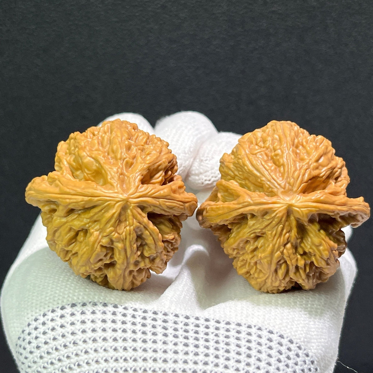 The "Thick Ridge" (Cu Jin) Pair | 40.0mm x 40.0mm | CJ-601 - ThePatinaProject