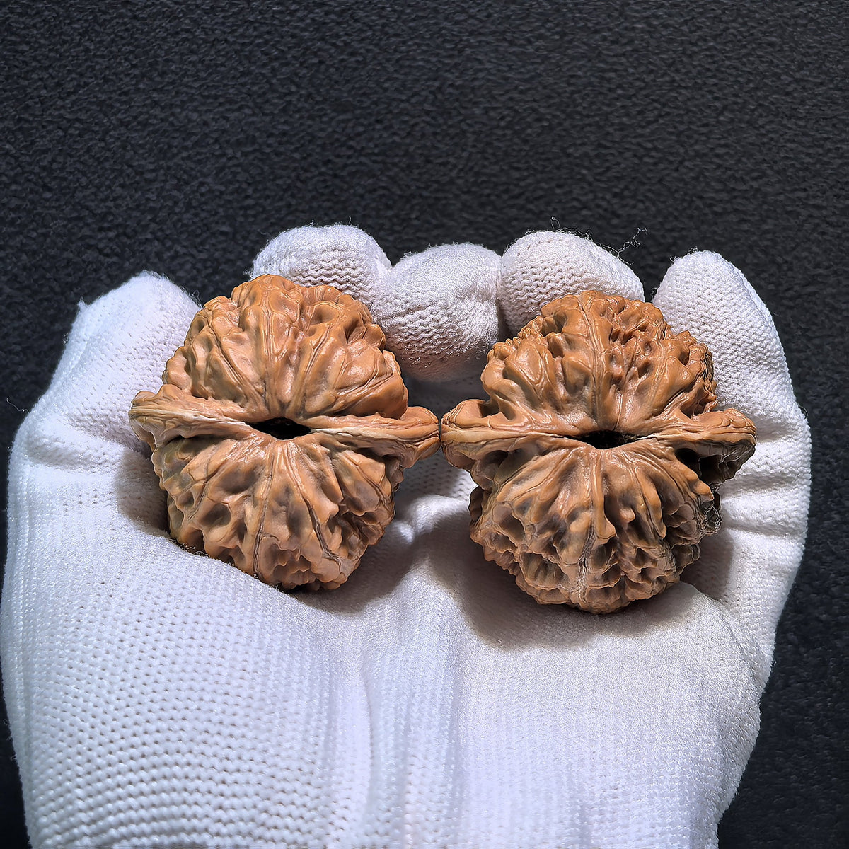 The "Thick Ridge" (Cu Jin) Pair | 40.0mm x 41.0mm | CJ-403 - ThePatinaProject