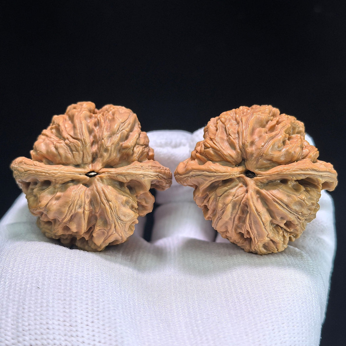 The "Thick Ridge" (Cu Jin) Pair | 43.0mm x 41.0mm | CJ-802 - ThePatinaProject