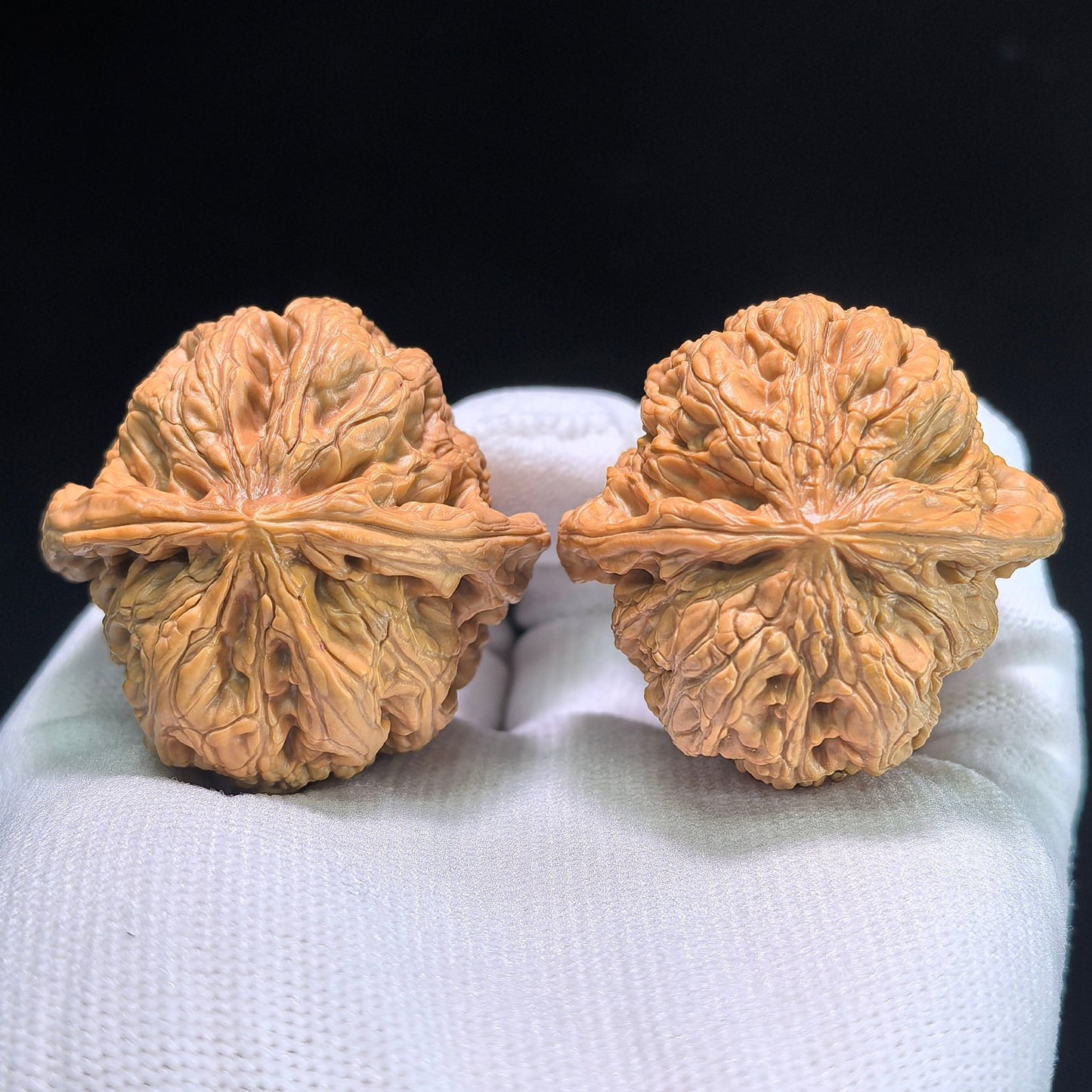 The "Thick Ridge" (Cu Jin) Pair | 43.0mm x 41.0mm | CJ-802 - ThePatinaProject