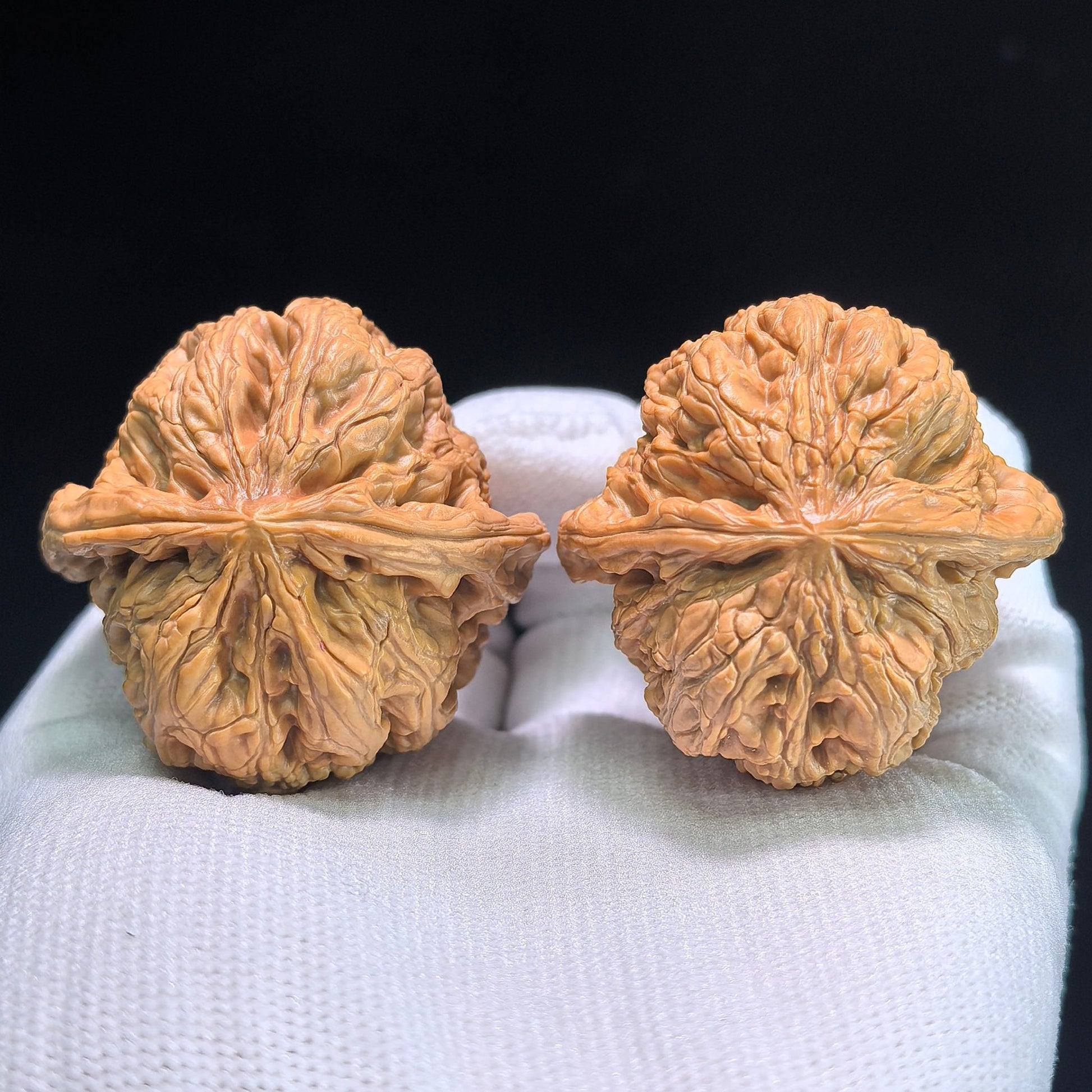 The "Thick Ridge" (Cu Jin) Pair | 43.0mm x 41.0mm | CJ-802 - ThePatinaProject