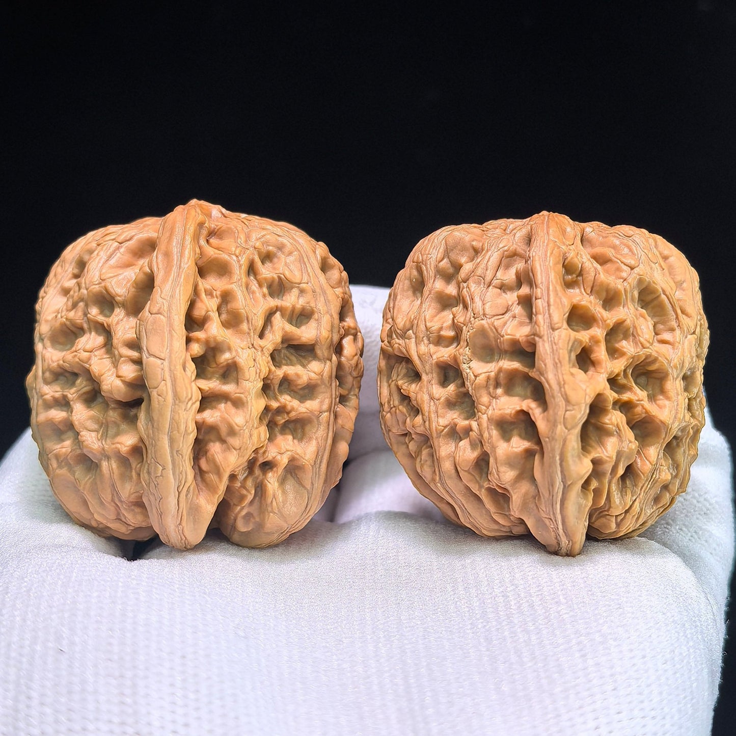 The "Thick Ridge" (Cu Jin) Pair | 43.0mm x 41.0mm | CJ-802 - ThePatinaProject