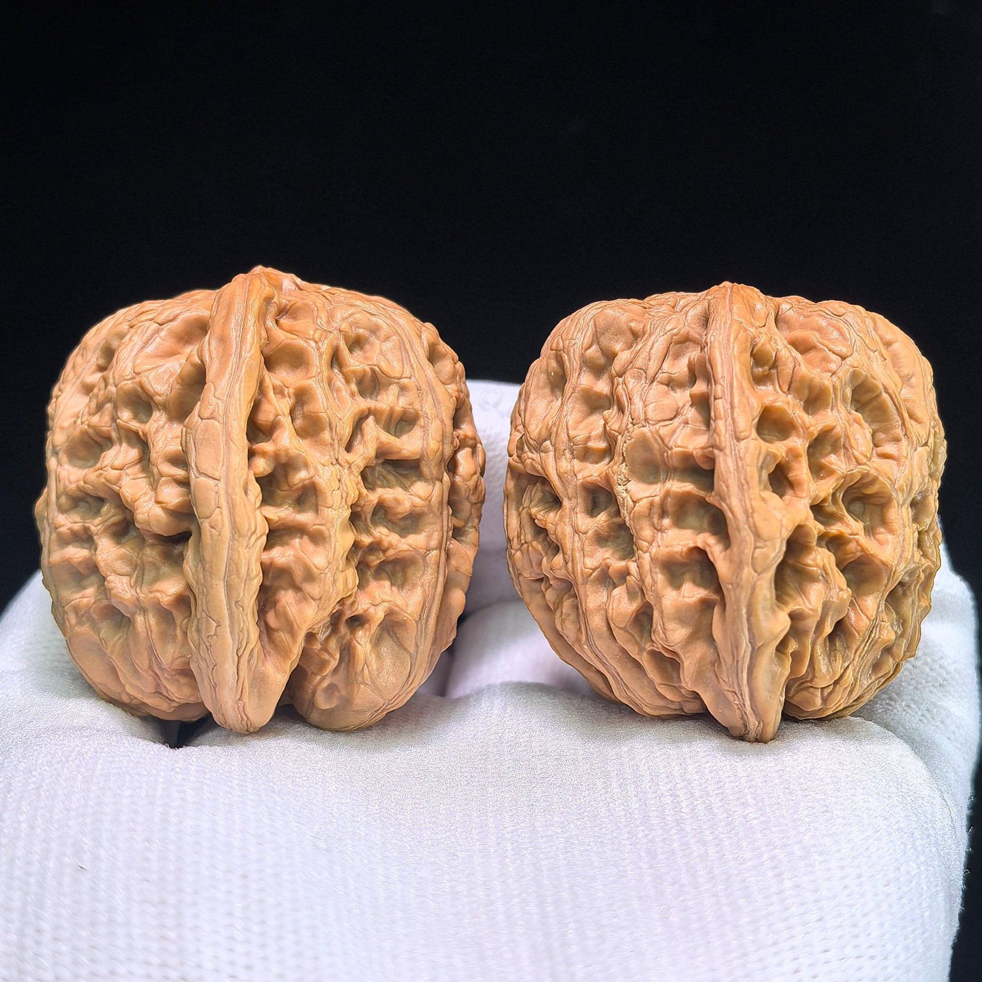 The "Thick Ridge" (Cu Jin) Pair | 43.0mm x 41.0mm | CJ-802 - ThePatinaProject