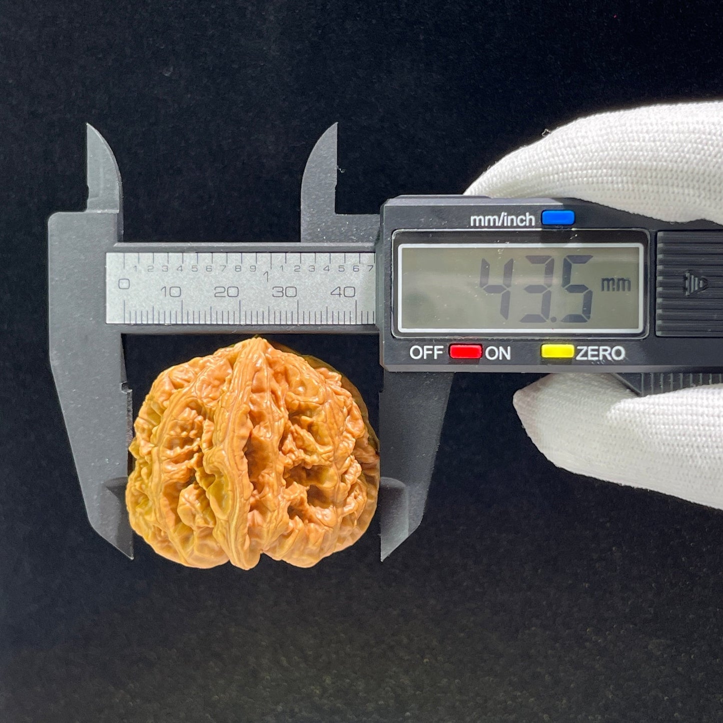 The "Thick Ridge" (Da Cu Jin) Lion's Head Pair | 41.0mm x 44.0mm | CJ-602 - ThePatinaProject