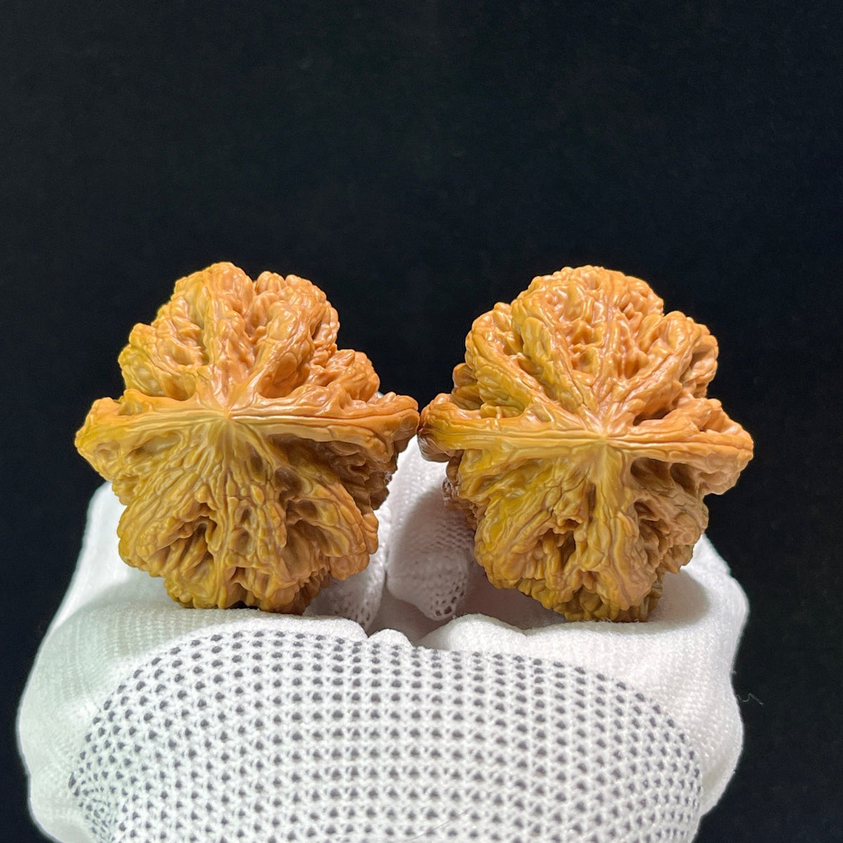 The "Thick Ridge" (Da Cu Jin) Lion's Head Pair | 41.0mm x 44.0mm | CJ-602 - ThePatinaProject