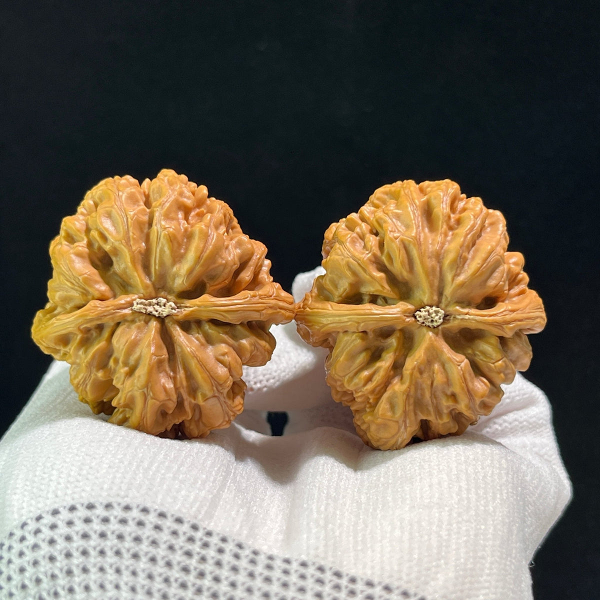 The "Thick Ridge" (Da Cu Jin) Lion's Head Pair | 41.0mm x 44.0mm | CJ-602 - ThePatinaProject