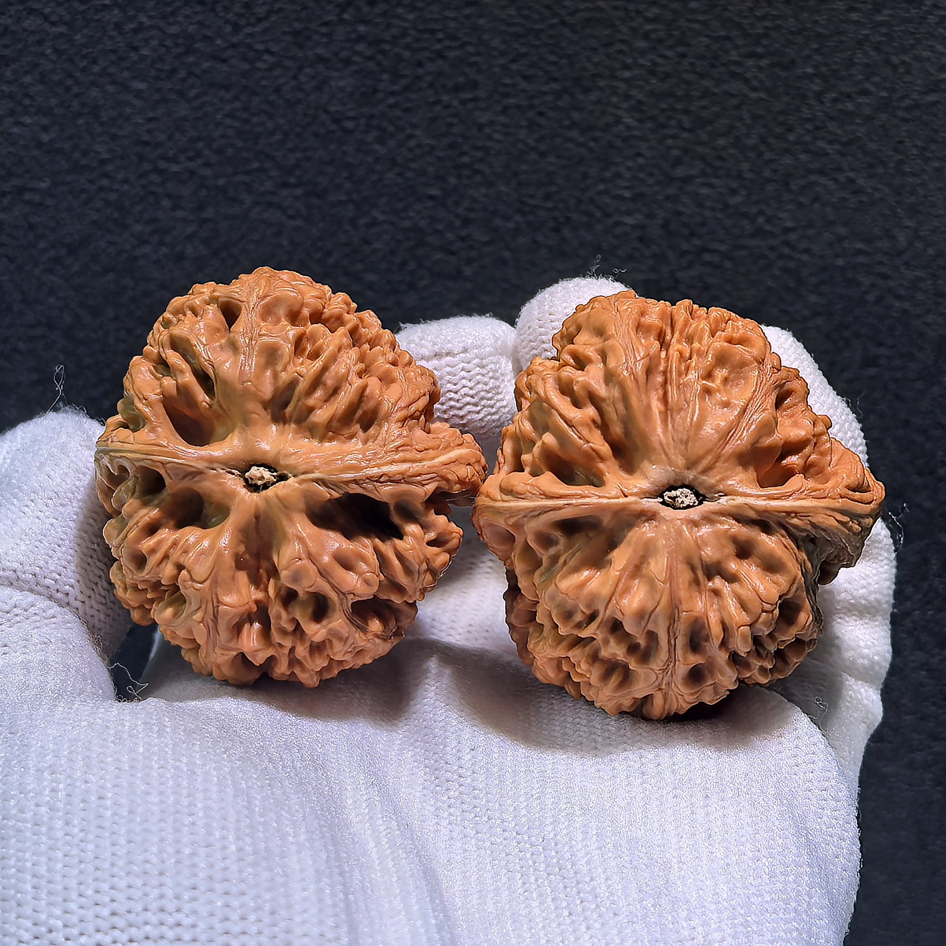 The "Thick Ridge - Smooth Sailing" (Cu Jin - Yi Fan Feng Shun) Pair | 40.0mm x 42.0mm | CJ-404 - ThePatinaProject