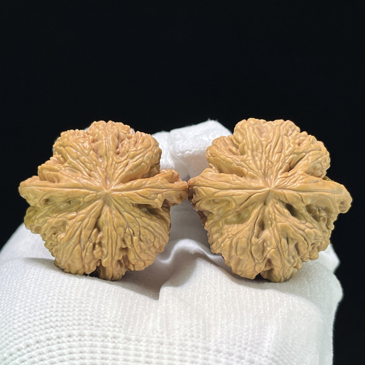 The "Thick Vein" (Cu Jin) Balanced Giant Pair | 40.0mm x 39.0mm | CJ-811 - ThePatinaProject